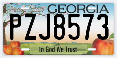 GA license plate PZJ8573