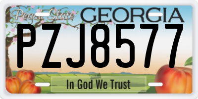 GA license plate PZJ8577
