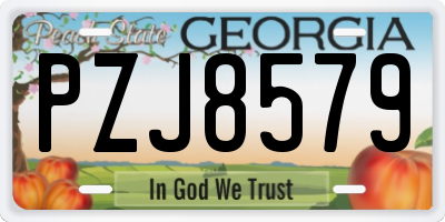 GA license plate PZJ8579
