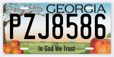 GA license plate PZJ8586