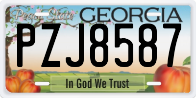 GA license plate PZJ8587