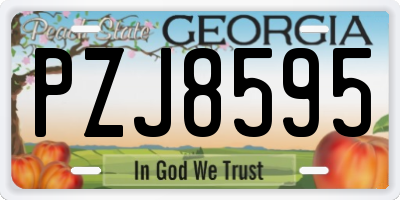 GA license plate PZJ8595
