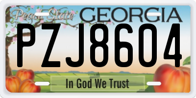 GA license plate PZJ8604