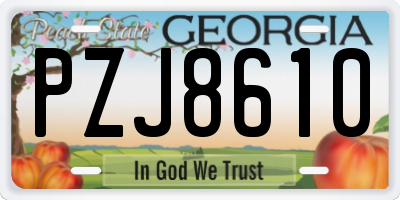 GA license plate PZJ8610