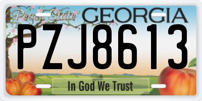 GA license plate PZJ8613