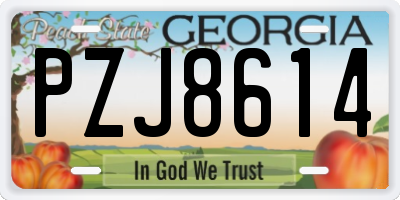 GA license plate PZJ8614