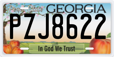 GA license plate PZJ8622
