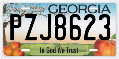 GA license plate PZJ8623