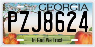 GA license plate PZJ8624