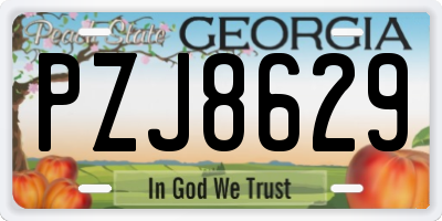 GA license plate PZJ8629