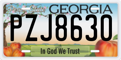 GA license plate PZJ8630