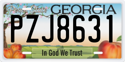 GA license plate PZJ8631