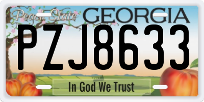 GA license plate PZJ8633