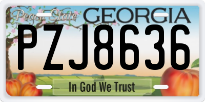 GA license plate PZJ8636