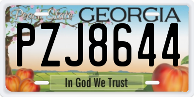 GA license plate PZJ8644
