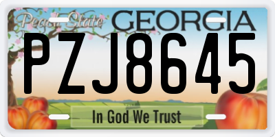 GA license plate PZJ8645
