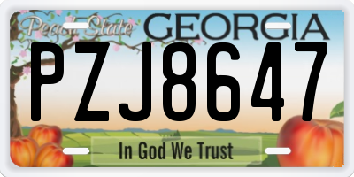 GA license plate PZJ8647