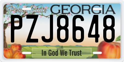 GA license plate PZJ8648