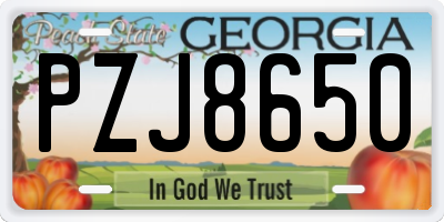 GA license plate PZJ8650