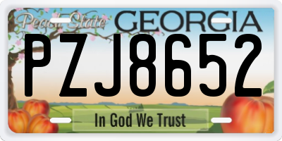 GA license plate PZJ8652