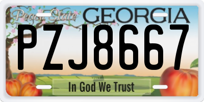 GA license plate PZJ8667