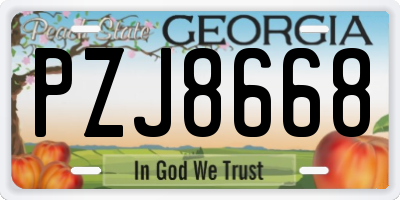 GA license plate PZJ8668