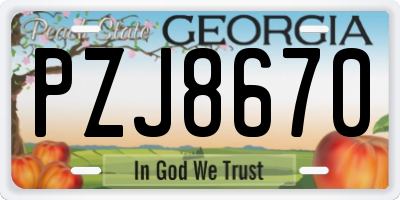GA license plate PZJ8670
