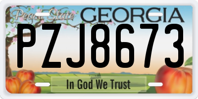 GA license plate PZJ8673