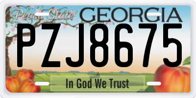 GA license plate PZJ8675
