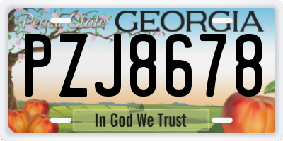 GA license plate PZJ8678