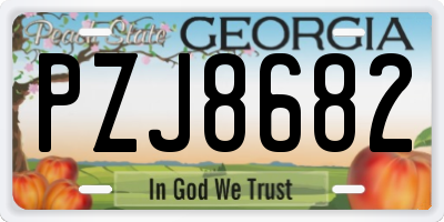GA license plate PZJ8682