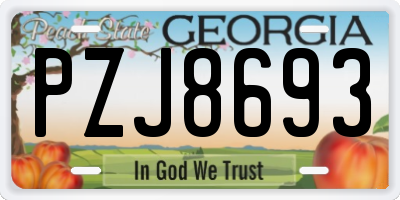 GA license plate PZJ8693