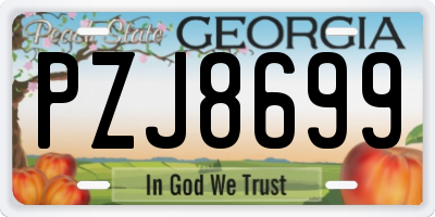 GA license plate PZJ8699