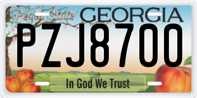 GA license plate PZJ8700