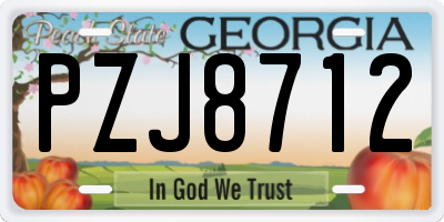 GA license plate PZJ8712