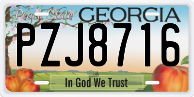 GA license plate PZJ8716