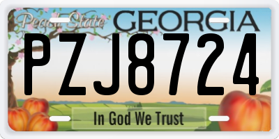 GA license plate PZJ8724