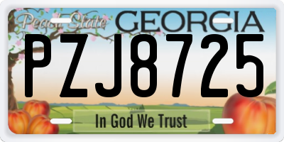 GA license plate PZJ8725