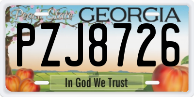 GA license plate PZJ8726