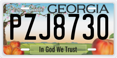 GA license plate PZJ8730