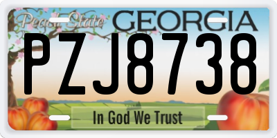 GA license plate PZJ8738