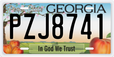 GA license plate PZJ8741