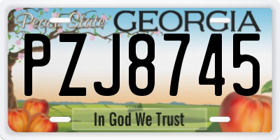 GA license plate PZJ8745