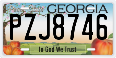 GA license plate PZJ8746