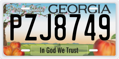 GA license plate PZJ8749