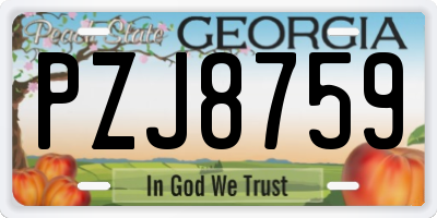 GA license plate PZJ8759