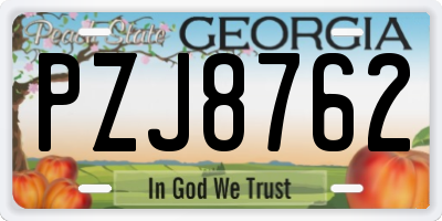 GA license plate PZJ8762