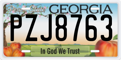 GA license plate PZJ8763