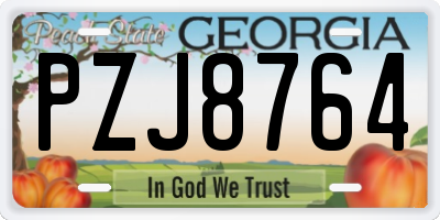 GA license plate PZJ8764