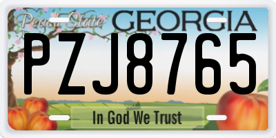 GA license plate PZJ8765